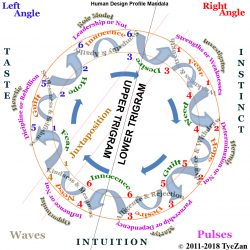 Human Design "Variables" Reading